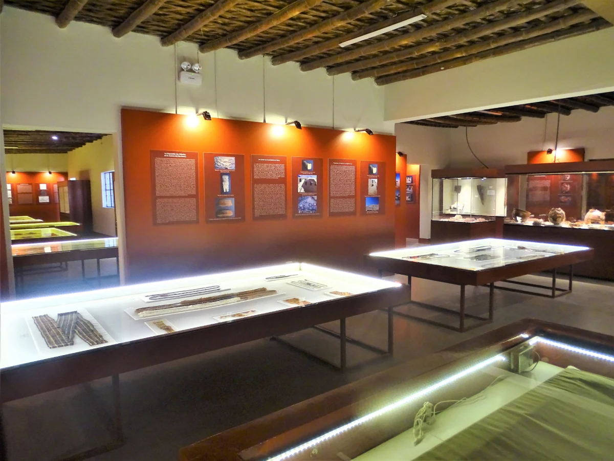 Museo Didáctico Antonini