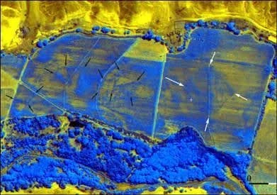 Pirámide de Cahuachi Satelital