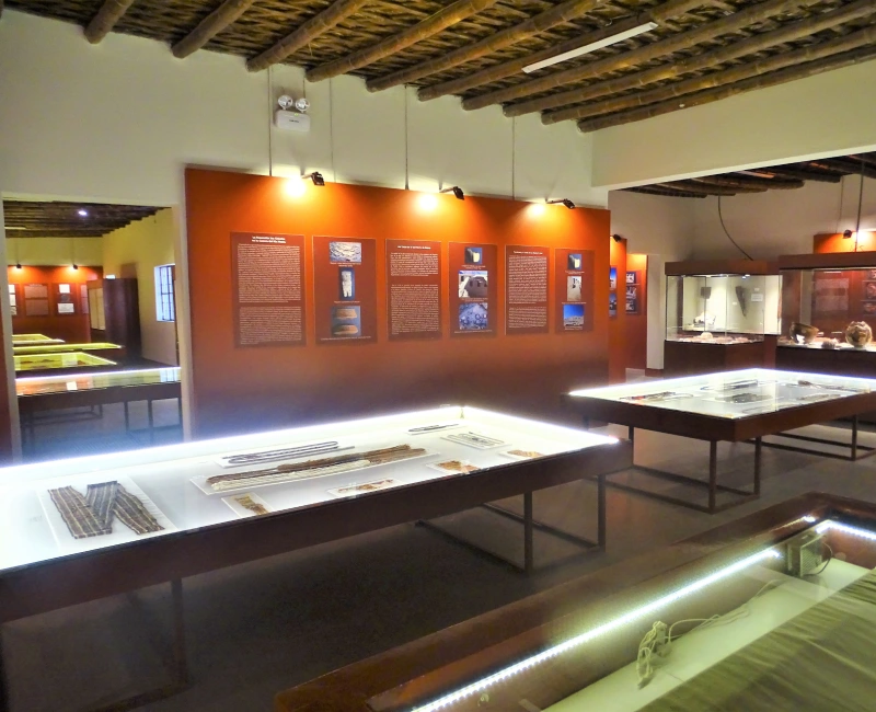 Refacción y mantenimiento del Museo Didáctico Antonini